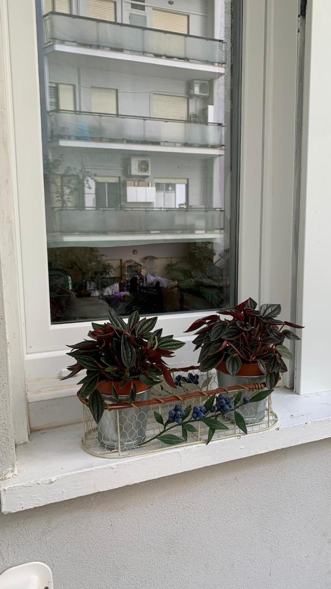 Appartamento Casina Soleggiata *